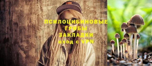 дурь Семёнов